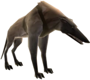 A wolfhound available as a "prop" for Xbox 360 Avatars.