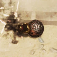 地上的还未爆炸的手榴弹