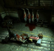 Large fish at the slaughterhouse.