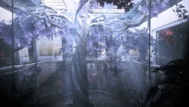 石板上的裂缝主图