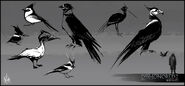 Mathieu-reydellet-disho-2-chara-bird-study-01