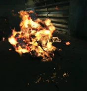 A wolfhound set ablaze.