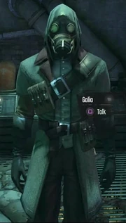 加莉亚·弗利特