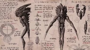 Void Creature Study Concept.png (3.13 MB) 预视使徒的研究图