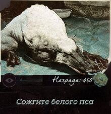 Сожгите белого пса (контракт).jpg