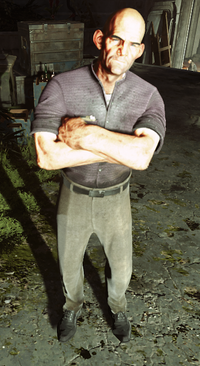 Stephano