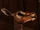 Gazelle4.png