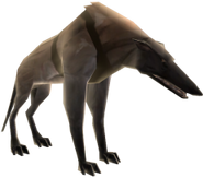 Wolfhound - basic