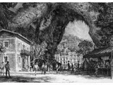 Cyria Gardens