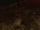 05 white rat3.png