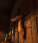 A mounted gazelle head near the entrance.