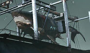 A whale, hanging from an H-frame crane on a whaling trawler.