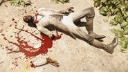 Antero's corpse.