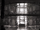 Quarantine Concept.png