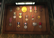 Medals in Havelock's room.