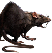 Concept art of a rat.