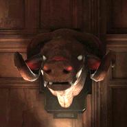 A mounted blood ox head at the Galvani Residence.