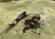 The bodies of Lydia and Wallace in low chaos.