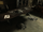 The Bone Charm Situation