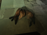 Sleeping Hound