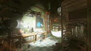 The overgrown bathroom with rune markings.