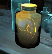 A rat fetus in a jar.