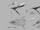 Bloodyfly1.png