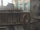 Karnacaart3.png