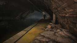Sewer weeper