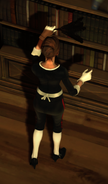 Melissa dusts the bookshelves at the Timsh Estate and Law Offices.