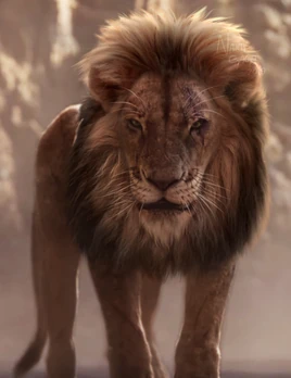 Dd4bhwu-2490284d-ea50-482f-9bb6-f28e691be31d