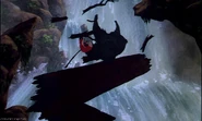 The Bear falling in waterfall to his death