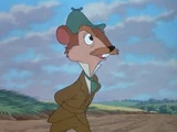 Water Rat