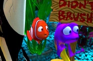 The Aqua Scum