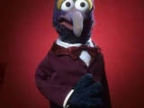 Gonzo