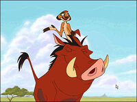 Pumba3