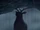 The Elk