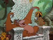 "...that you wanna stay in the jungle."