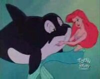 Ariel with Spot