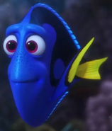 Profile - Dory