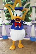 Donald HKDL.jpg (458 KB)