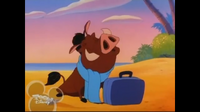 Pumba 2