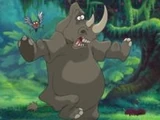 The Rhinoceros and the Bird