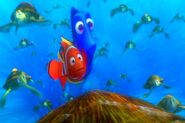 Dory and Marlin prepare to exit the EAC