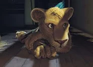 Ryan in a green transport box