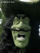 Captain Hook bush in a Disney park