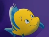 Flounder