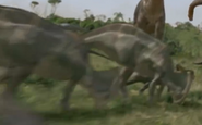 Parasaurolophus Grazing