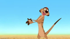Timon in The Lion King.