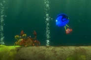 Dory and Nemo ask the crabs if they've seen Marlin